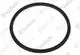 VAILLANT-O-Ring-VC-10-15-20-25-30-CS-1-5-R1-Vaillant-Nr-0020213140 gallery number 1